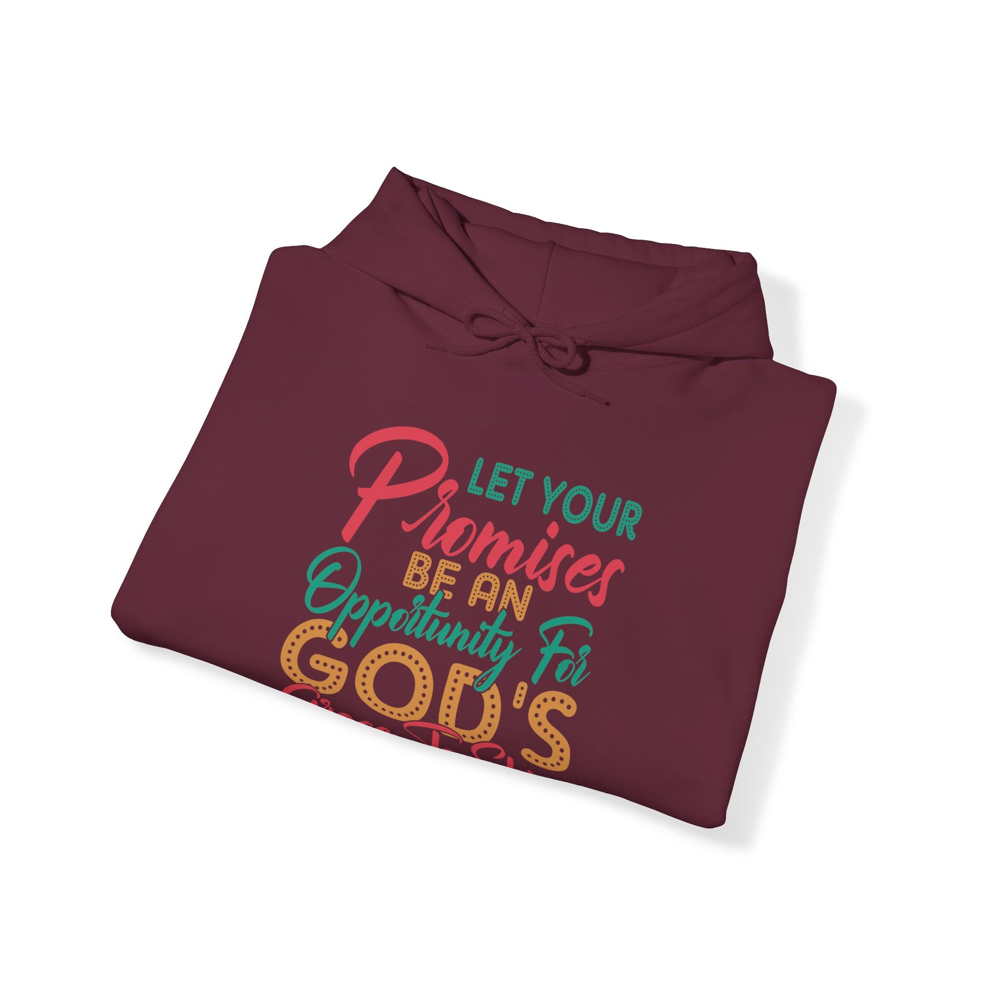 Let Your Promises Be An Opportunity For God's Grace To Shine - Unisex Hoodie