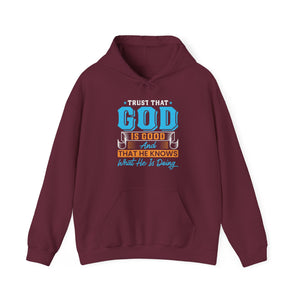 Trust That God is Good & He Know What He Is Doing - Unisex Hoodie