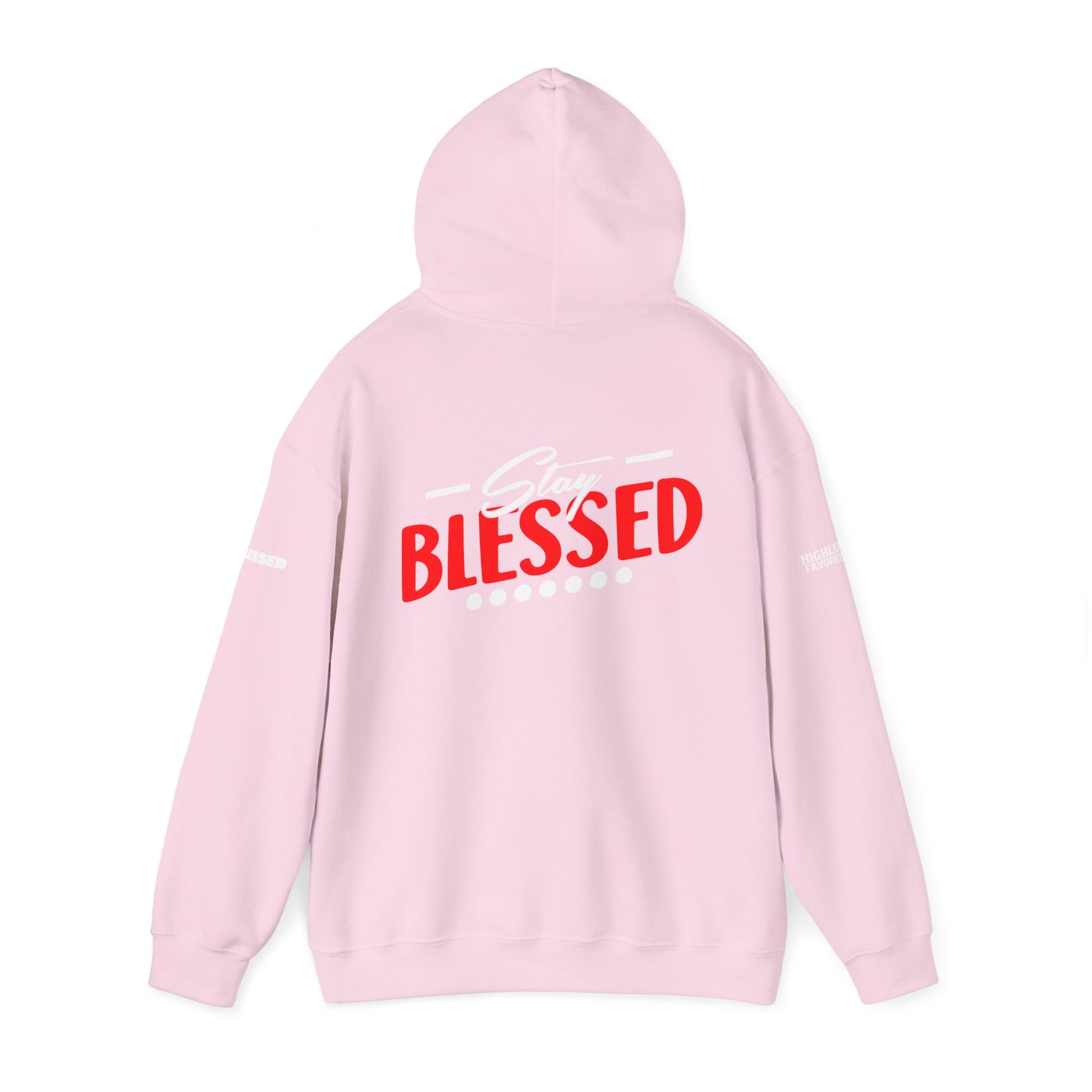 Gospel Truth Apparel (Front) & Stay Blessed (Back) - Unisex Hoodie