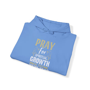 Pray For Spiritual Growth In This New Year - Unisex Hoodie