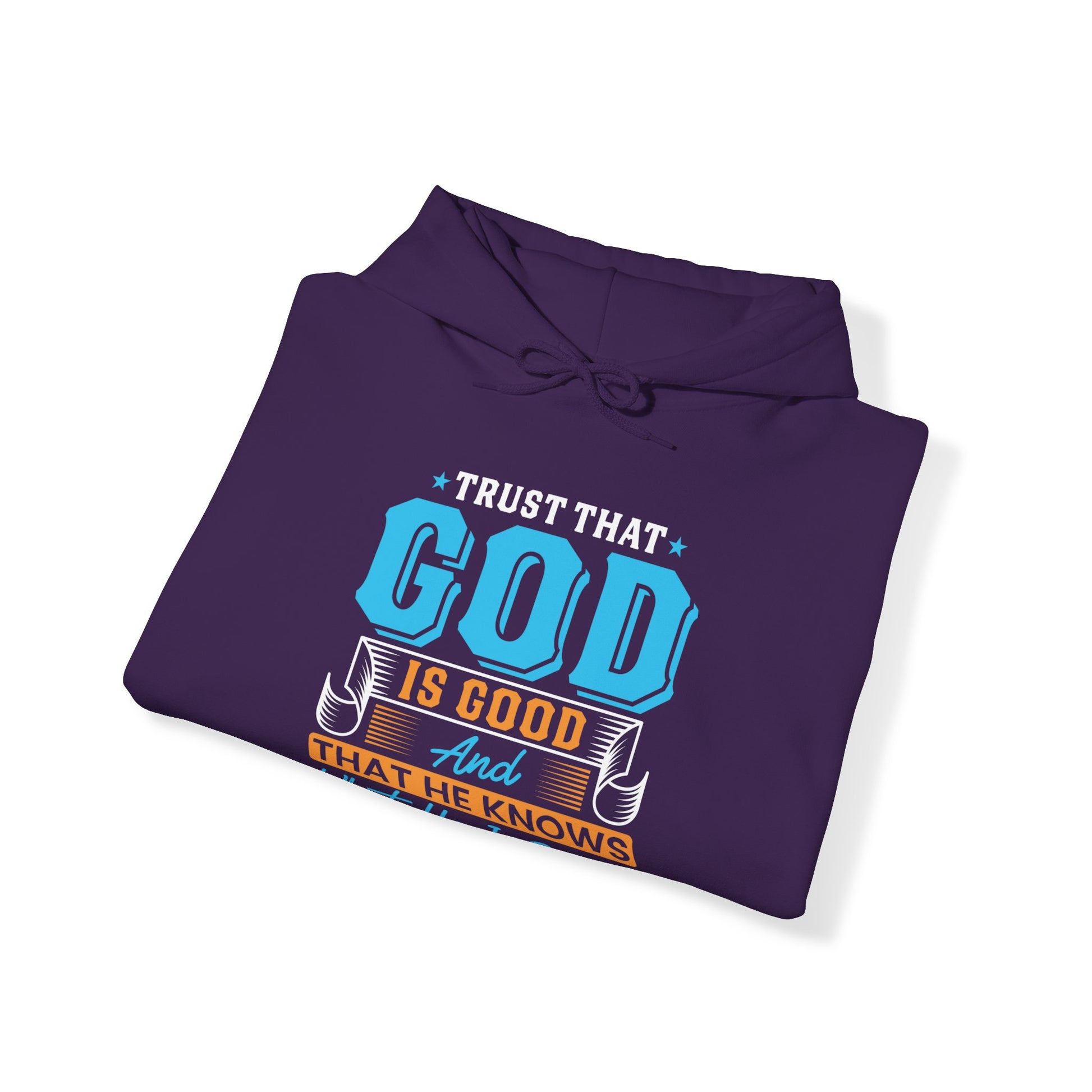 Trust That God is Good & He Know What He Is Doing - Unisex Hoodie