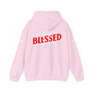 Gospel Truth Apparel (Front) & Stay Blessed (Back) - Unisex Hoodie