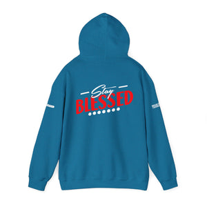 Gospel Truth Apparel (Front) & Stay Blessed (Back) - Unisex Hoodie