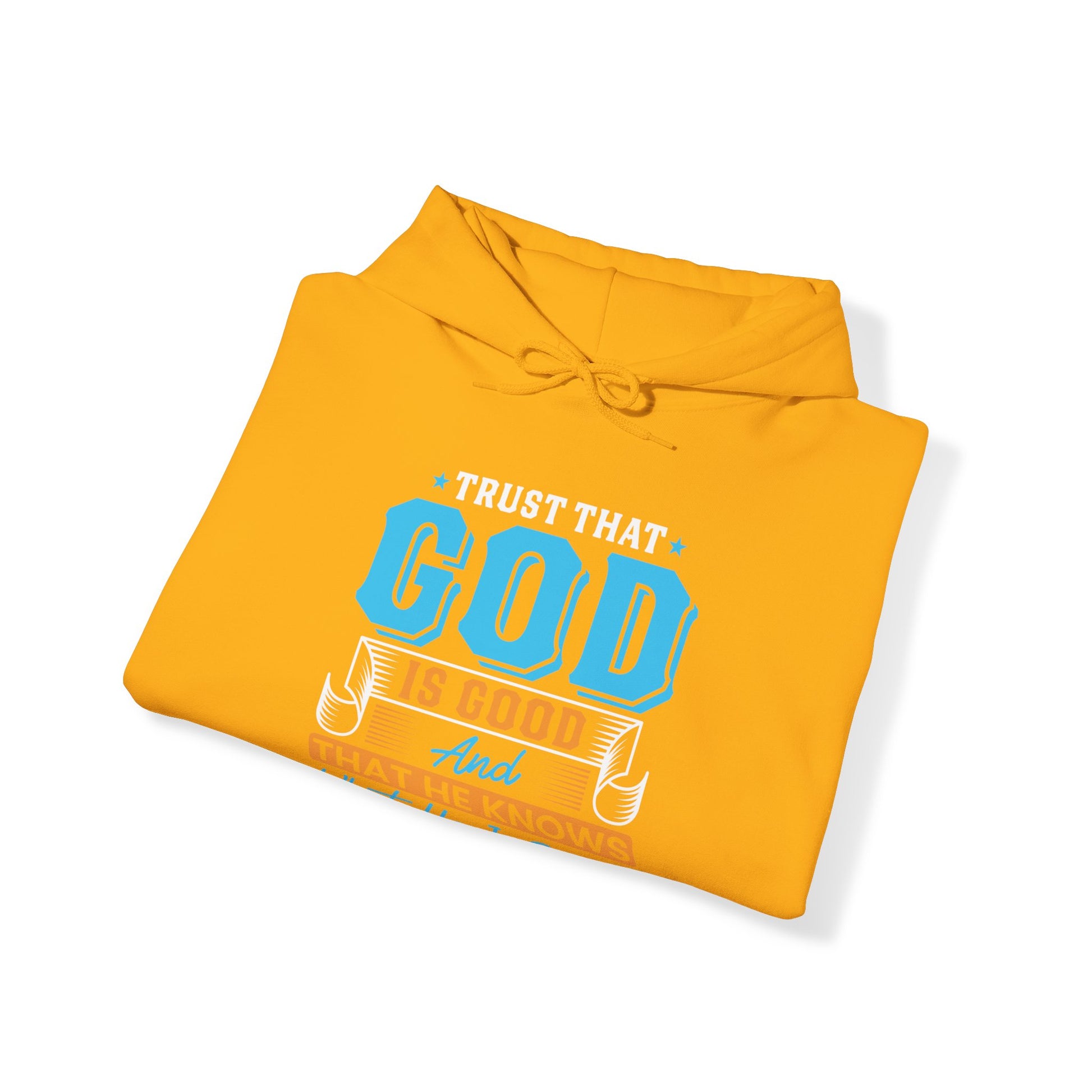 Trust That God is Good & He Know What He Is Doing - Unisex Hoodie