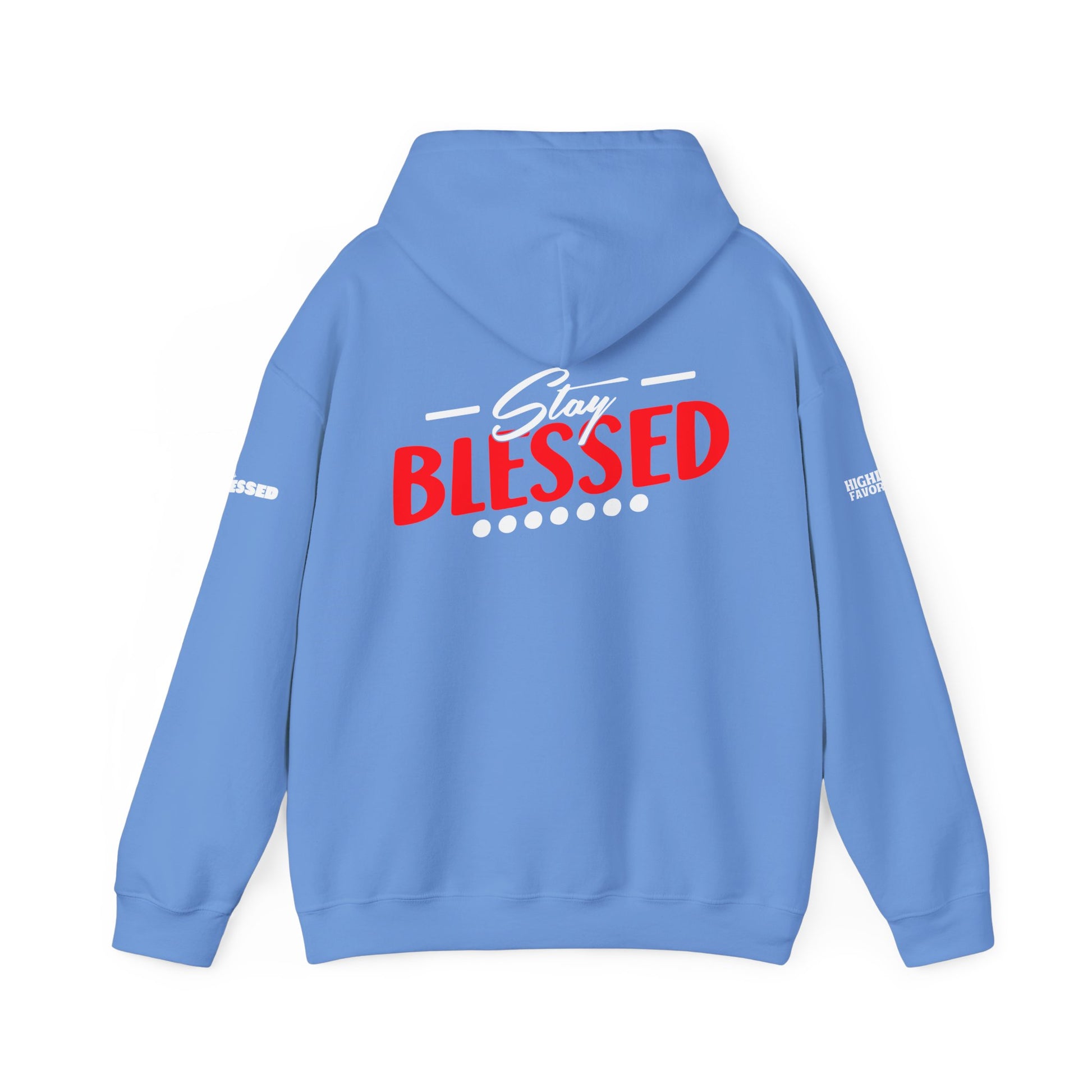 Gospel Truth Apparel (Front) & Stay Blessed (Back) - Unisex Hoodie