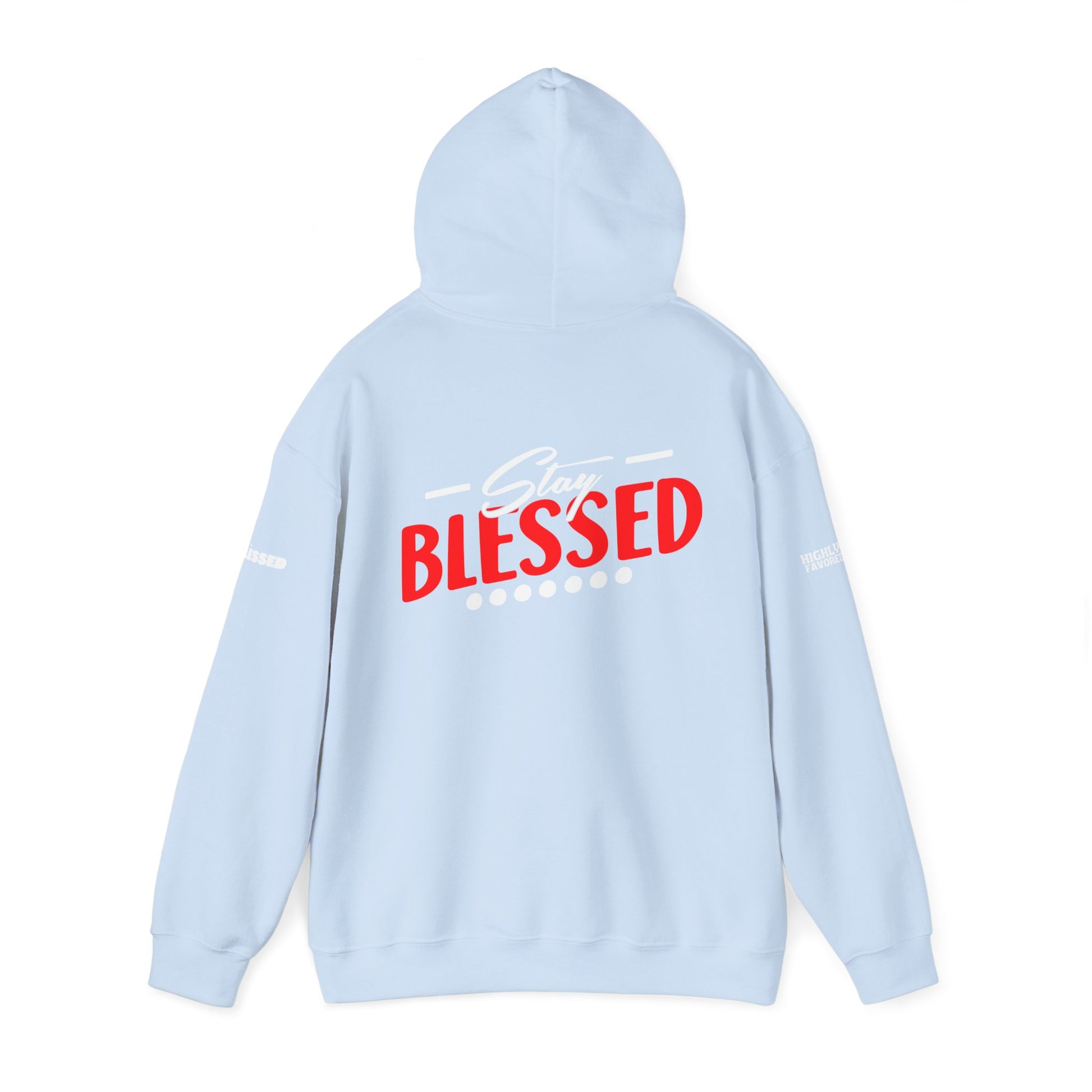 Gospel Truth Apparel (Front) & Stay Blessed (Back) - Unisex Hoodie