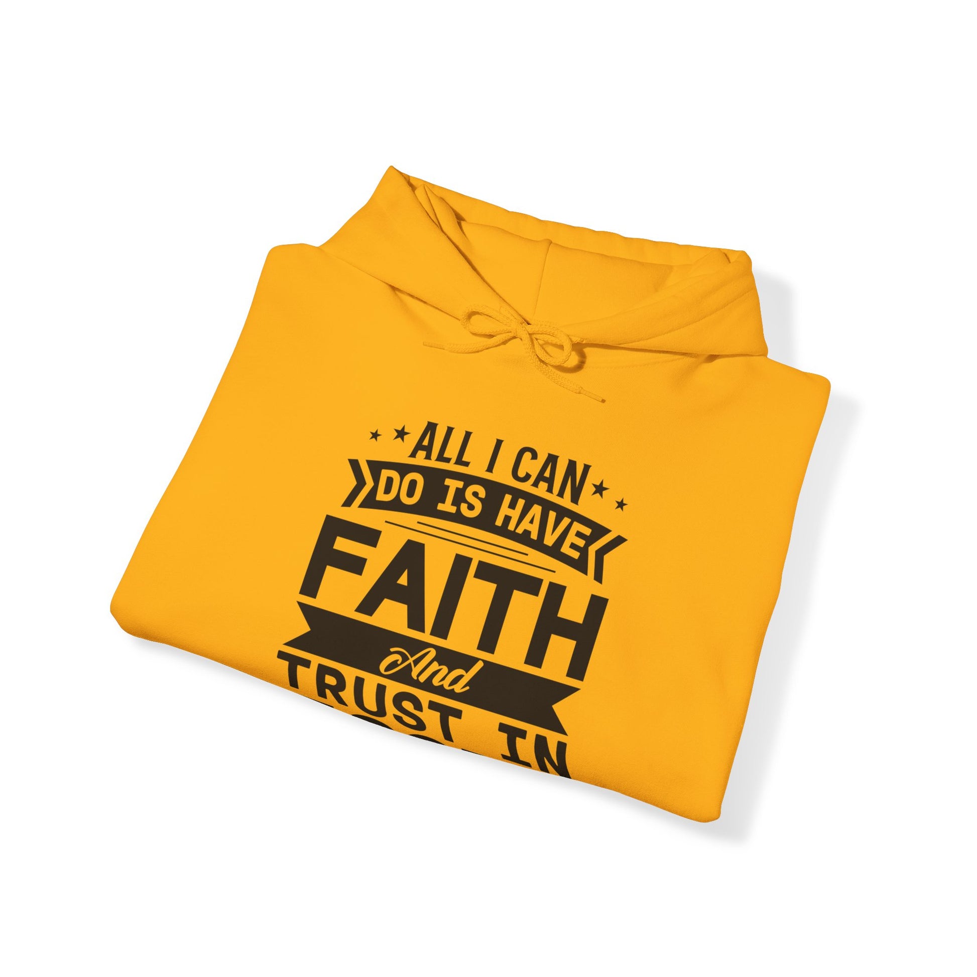 All I can Do Is Have Faith & Trust In God - Unisex Hoodie