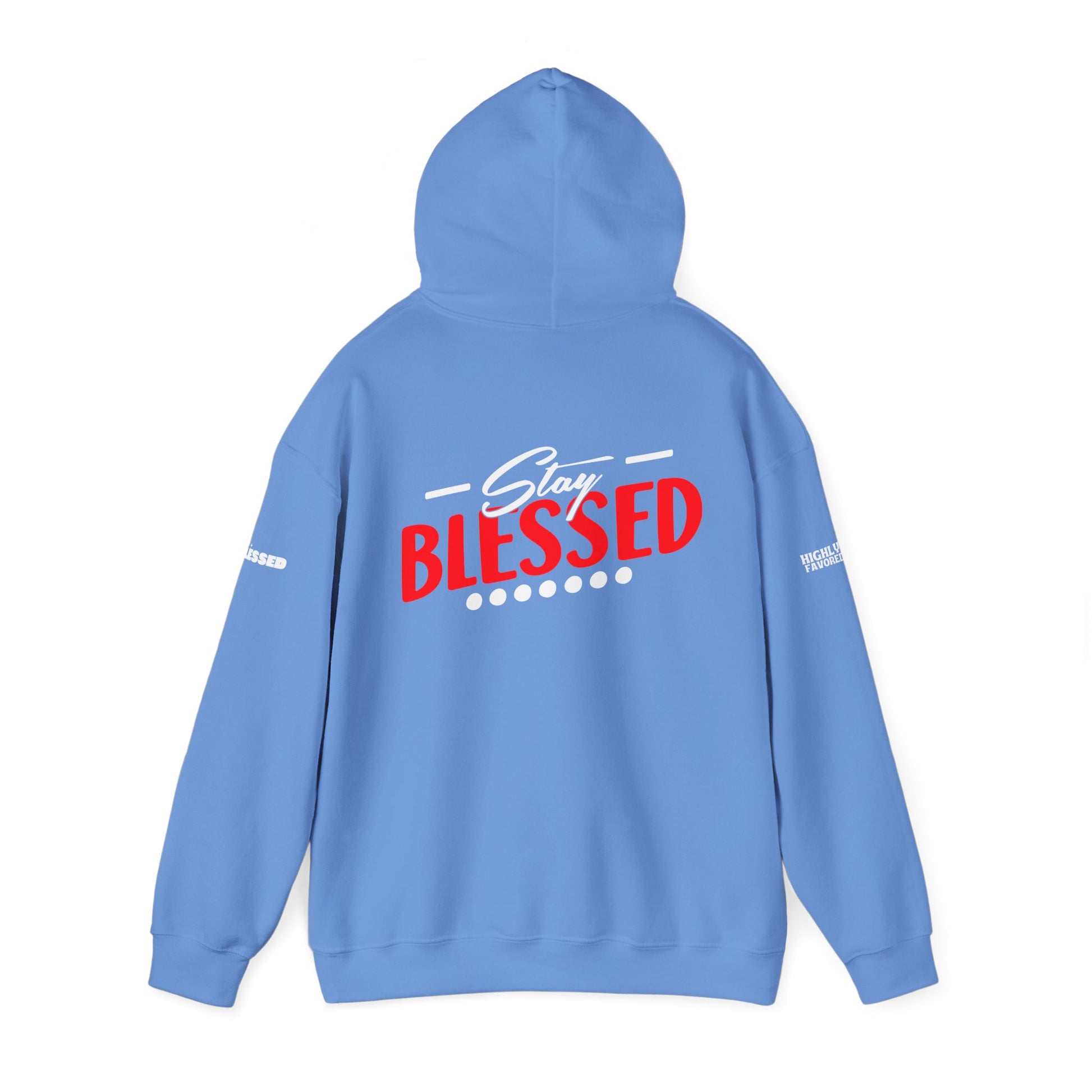 Gospel Truth Apparel (Front) & Stay Blessed (Back) - Unisex Hoodie